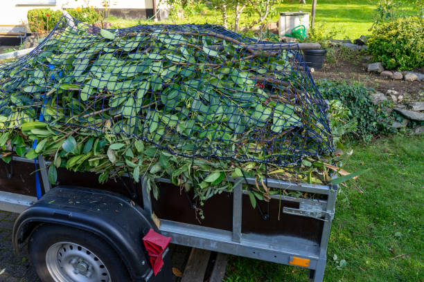 Professional Junk Removal  in Glen Rock, PA